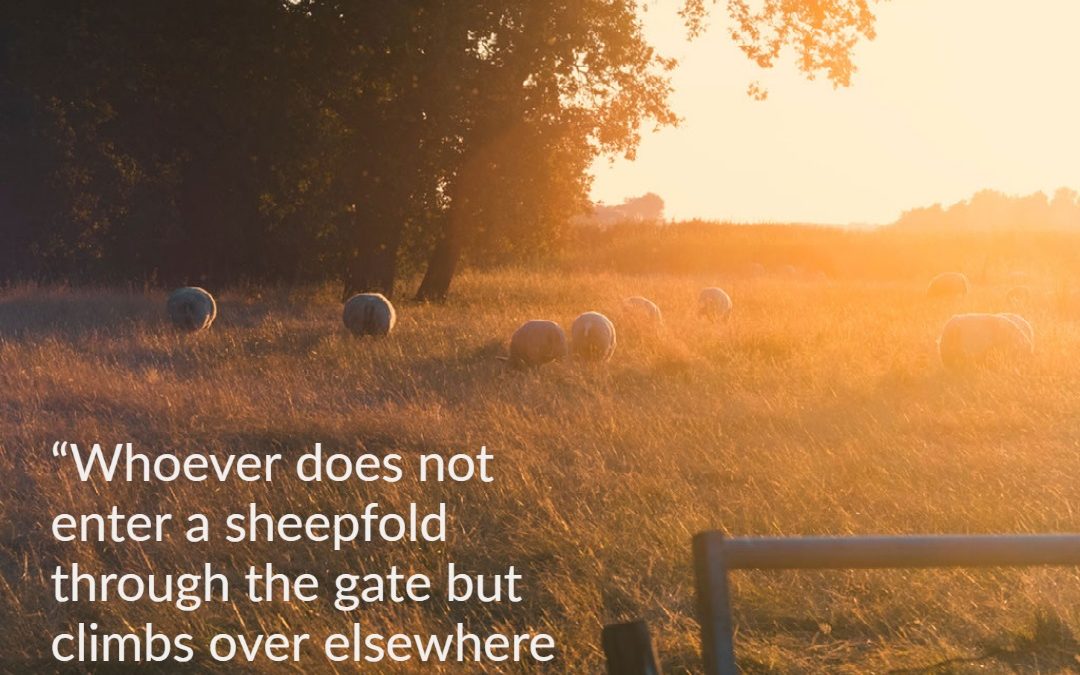 4th Sunday of Easter (Good Shepherd Sunday) Yr A – 30th May 2023
